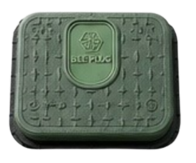 Protect Bee Plug